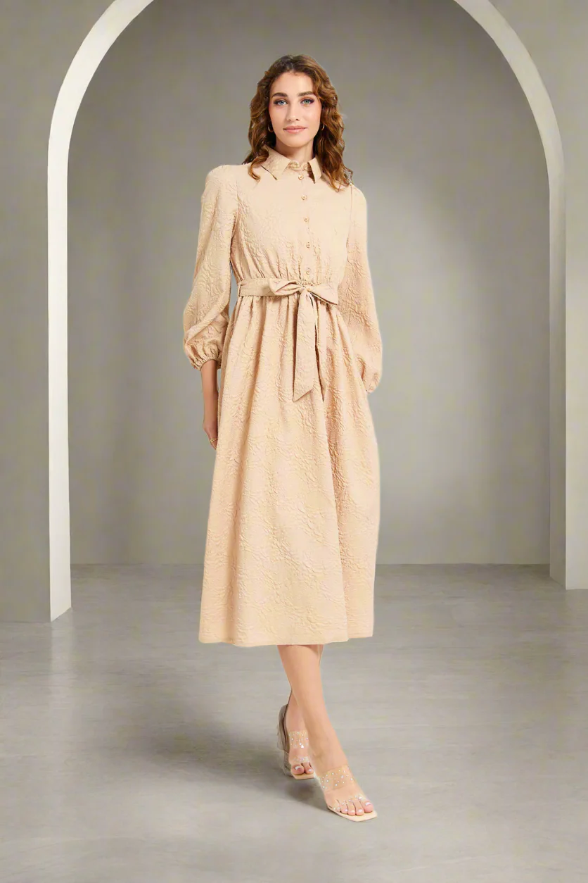 Women Dress garment image
