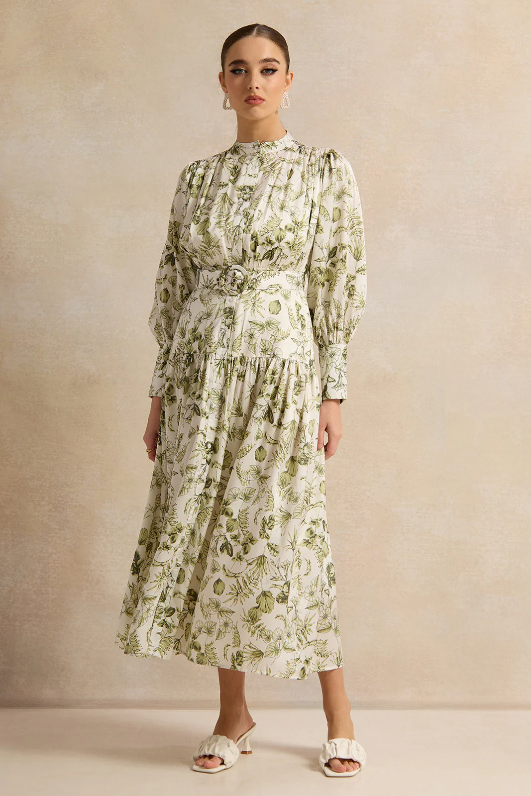 Women Dress garment image